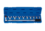 TORQUE WRENCH SET INTERCHANGEABLE 11PC SET 8X14MM